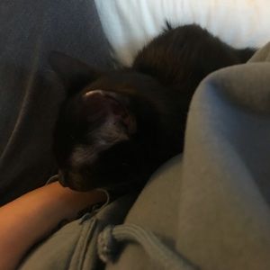 Meet your Posher, Janet